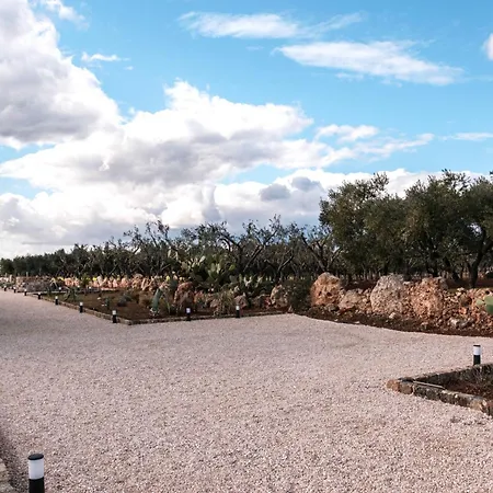 La Casa Del Primitivo *
